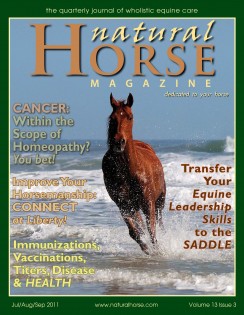 Natural Horse Magazine article by Ginger Krantz
