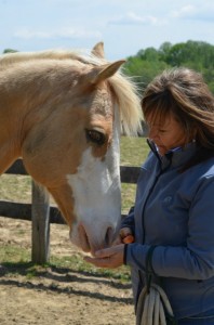 Former hunter jumper's condition improves from energy healing treatment for horses.
