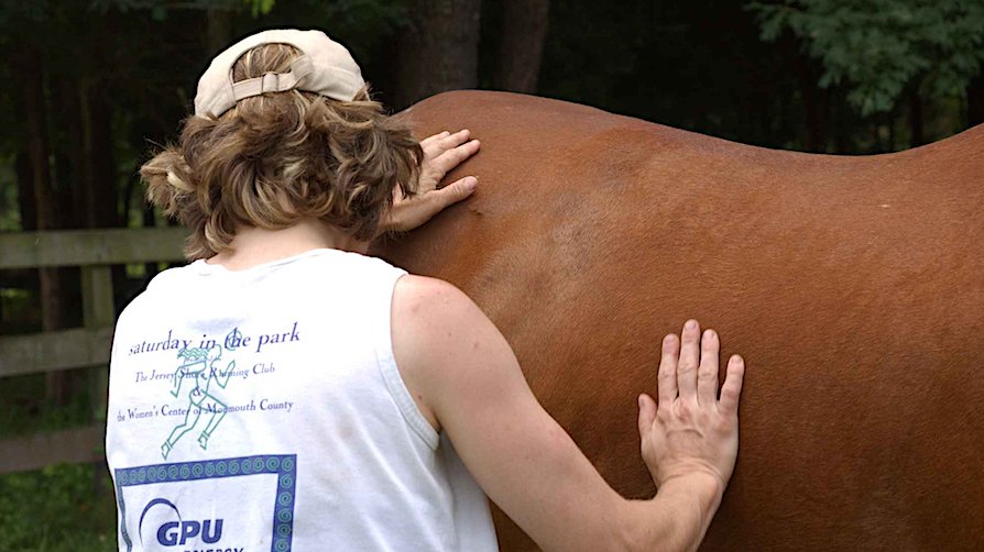 Equine Healer Training Registration Earth Horse Healing