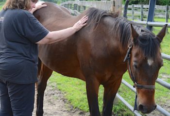 Class on healing horse therapy brings miraculous healing to gelding.