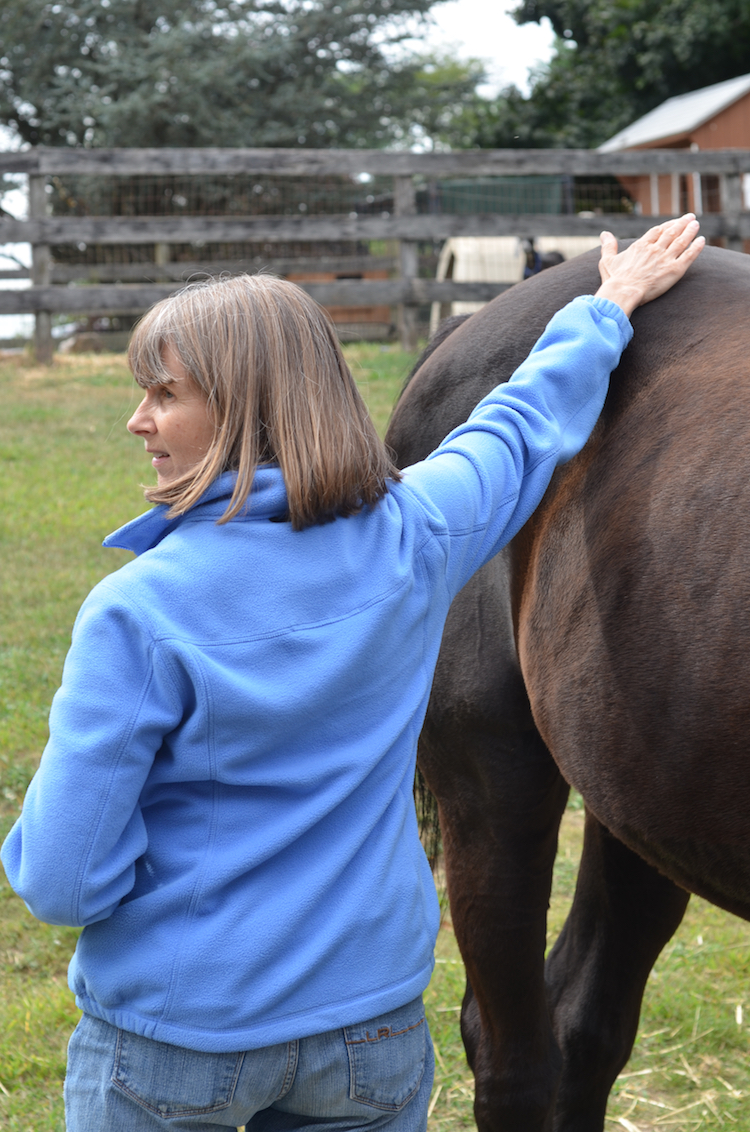 Ginger Krantz teaching how to evaluate the physical and perceive the energetic health of the horse.