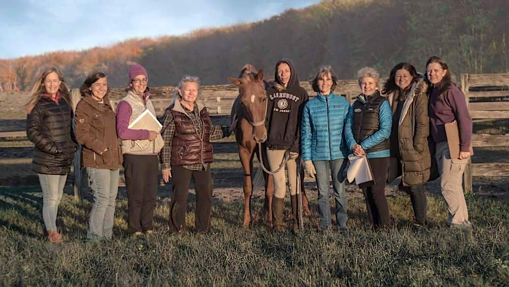 Equine Healing Certification Classes; learn healing horses in New Jersey