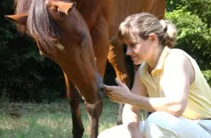 Healing horses testimonial: healing chronic pain and tension.