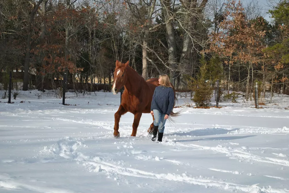 Ginger Krantz running in the snow alongside of her trotting German Warmblood horse, their connection reflected in the synchronized movement of their legs.