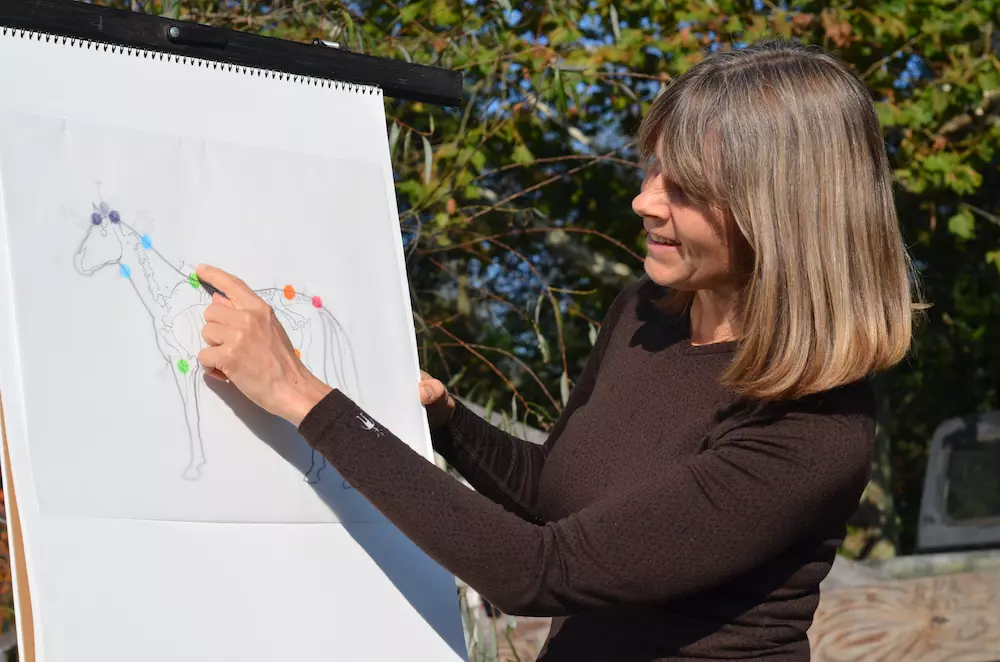 Ginger Krantz points, on her drawing of the anatomy the horse, to the location of the heart chakra. The locations of all seven chakras of the horse are indicated in color.