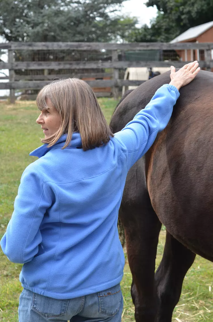 Ginger Krantz, her right hand open with palm down a few inches above the lumbar area of a dark brown horse, teaching how to perceive the energetic health of a horse.