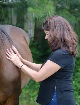 A woman, head bowed, stands with arms extended and hands placed upon the mid back of a bay colored Standardbred horse to provide energy healing. 
