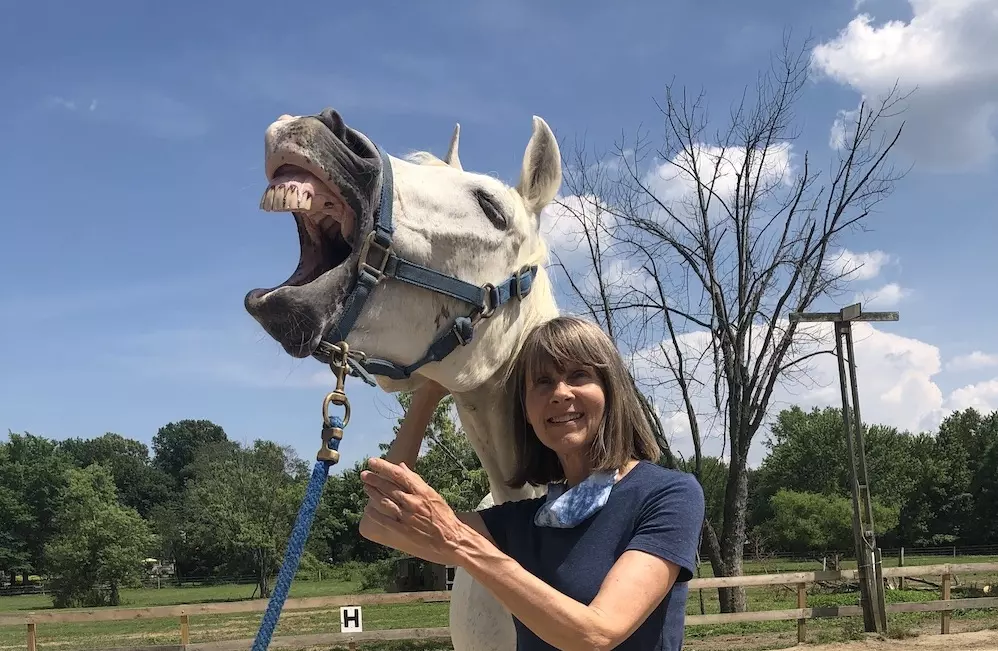 Equine healer, Ginger Krantz, standing beside and touching white horse on its jaw, and the horse is responding with a huge, open mouth yawn with the release of tension in the jaws, eyes, and head.